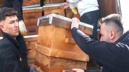 Kırsal Üretime Kovan Desteği