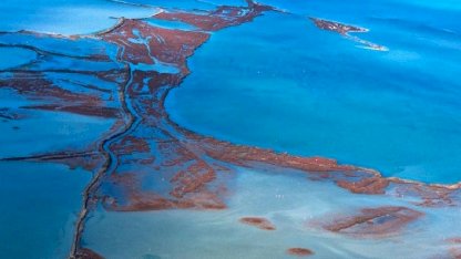 Kuraklık Gediz Deltası’nda kirlilik baskısını derinleştiriyor