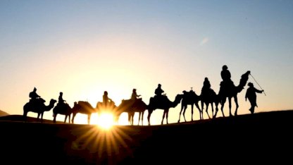 Suudi Arabistan'da "deve pasaportu" projesi