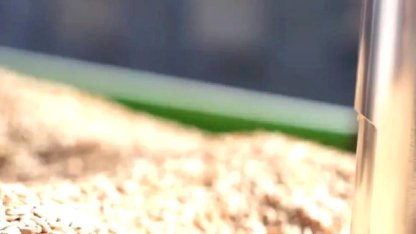 TMO’da çeltik alımları sürüyor