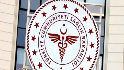 Uluslararası Sağlık Hizmetlerinde İş Birliği Yönetmeliği, Resmi Gazete’de