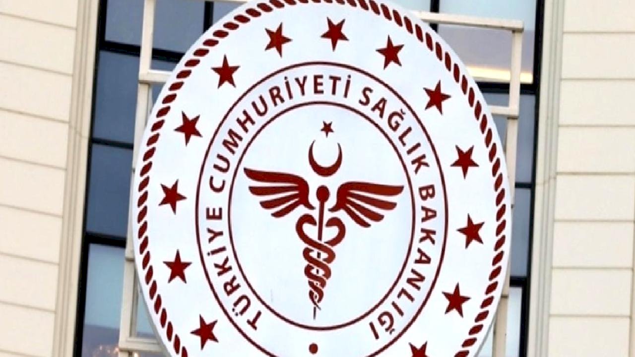Uluslararası Sağlık Hizmetlerinde İş Birliği Yönetmeliği, Resmi Gazete’de