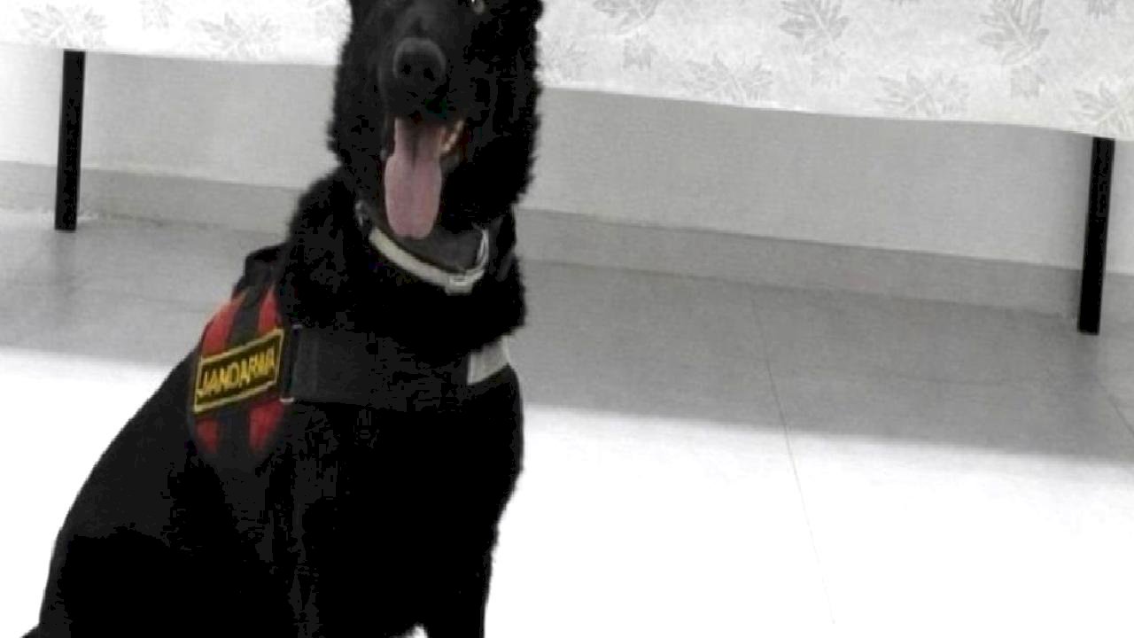 Van'da İranlı yolcu 510 gram eroin ile yakalandı