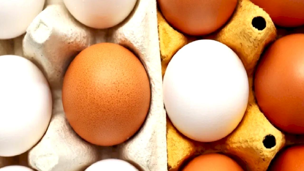 Yumurtanın doğrudan arzında limit artışı... Resmi Gazete'de yayımlandı