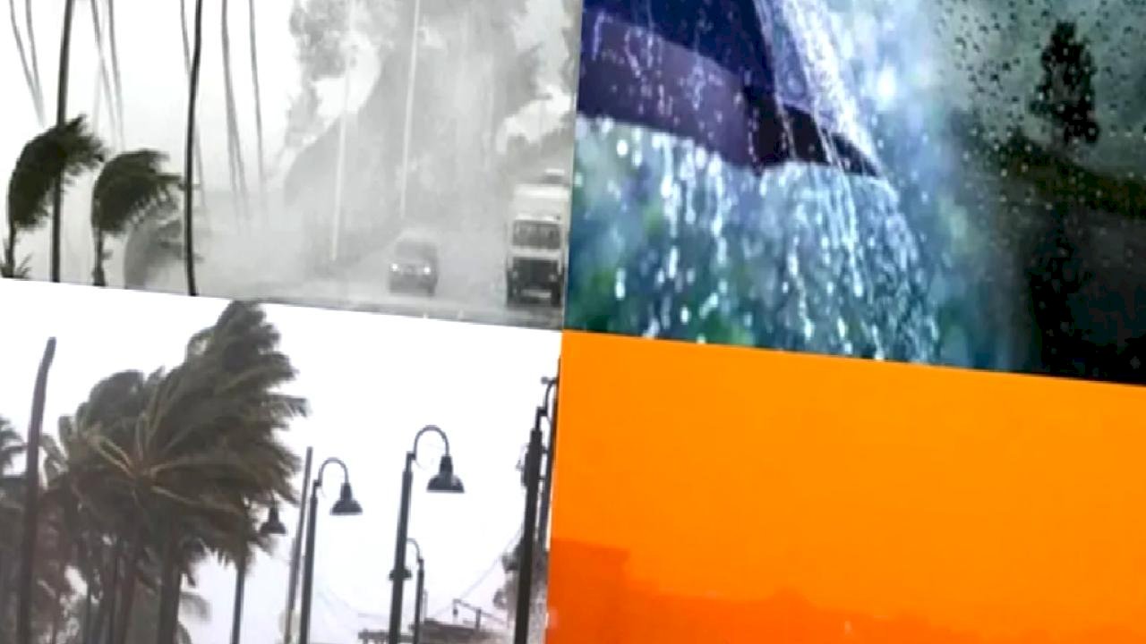 Yurt genelinde çoklu uyarı! Rüzgar, toz taşınımı, kuvvetli yağış ve çığ