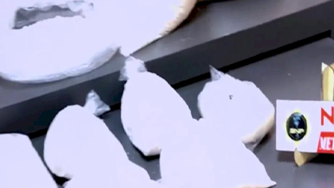 73 ilde 1 tonu aşkın uyuşturucu ele geçirildi