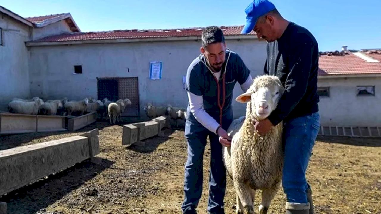 ABB'den kırsala veterinerlik hizmeti