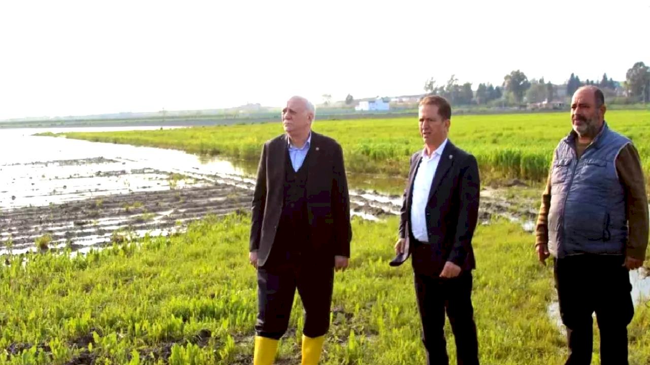 Adana'da Tarım Alanları Sel Altında