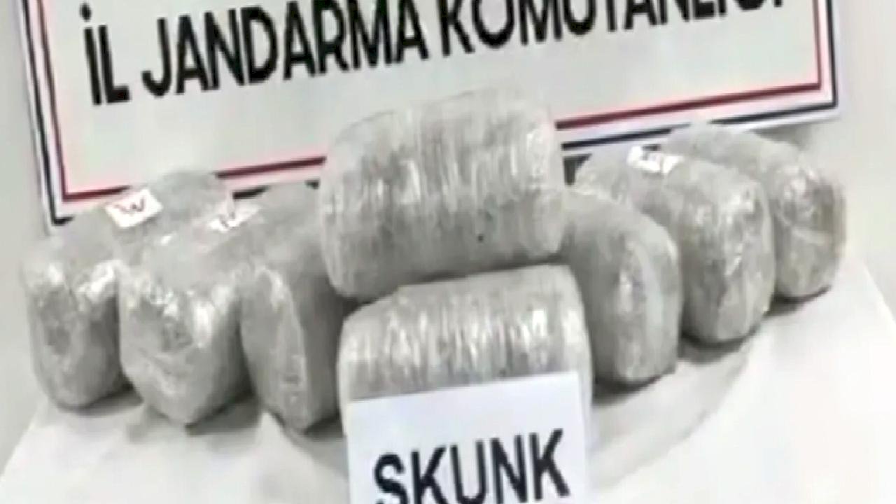 Ağrı’da 10 kilogram skunk ele geçirildi