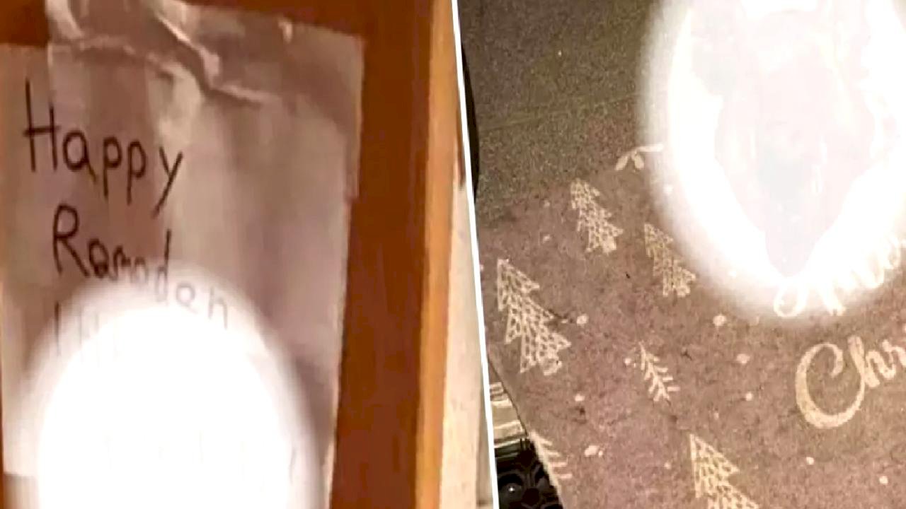 Avusturya'da Irkçı Saldırı