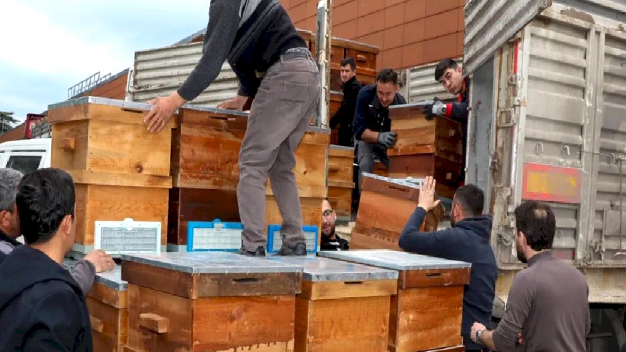 Bursa'da arıcılık Büyükşehir'le canlandı