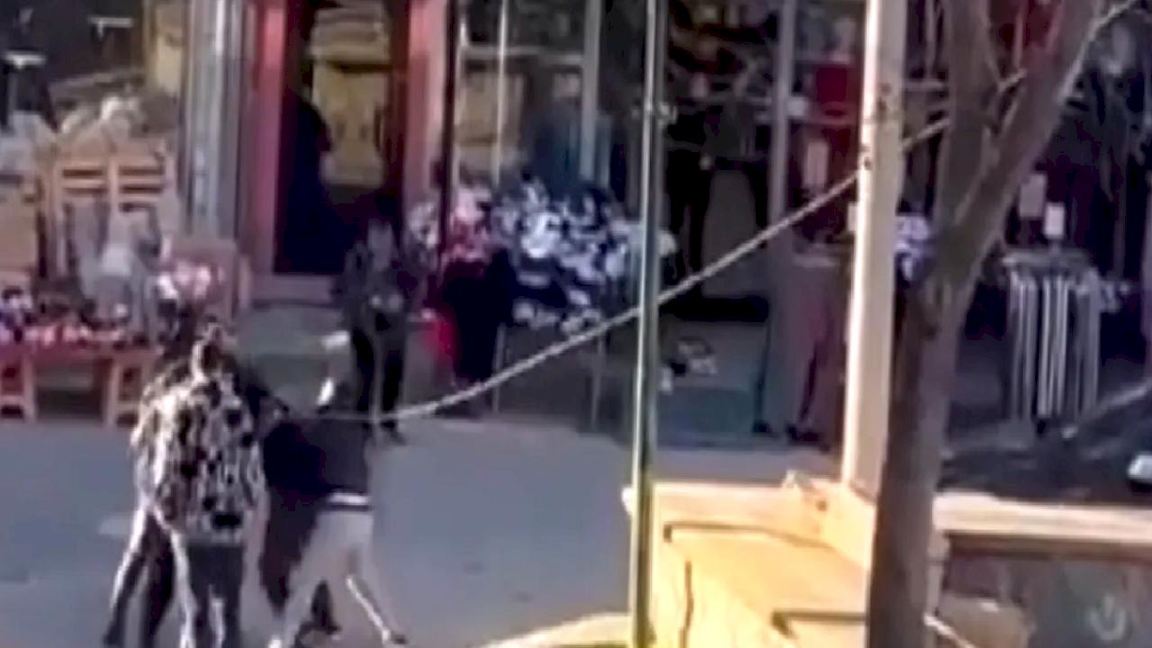 Bursa'da Duba ve Tabureli Kavga