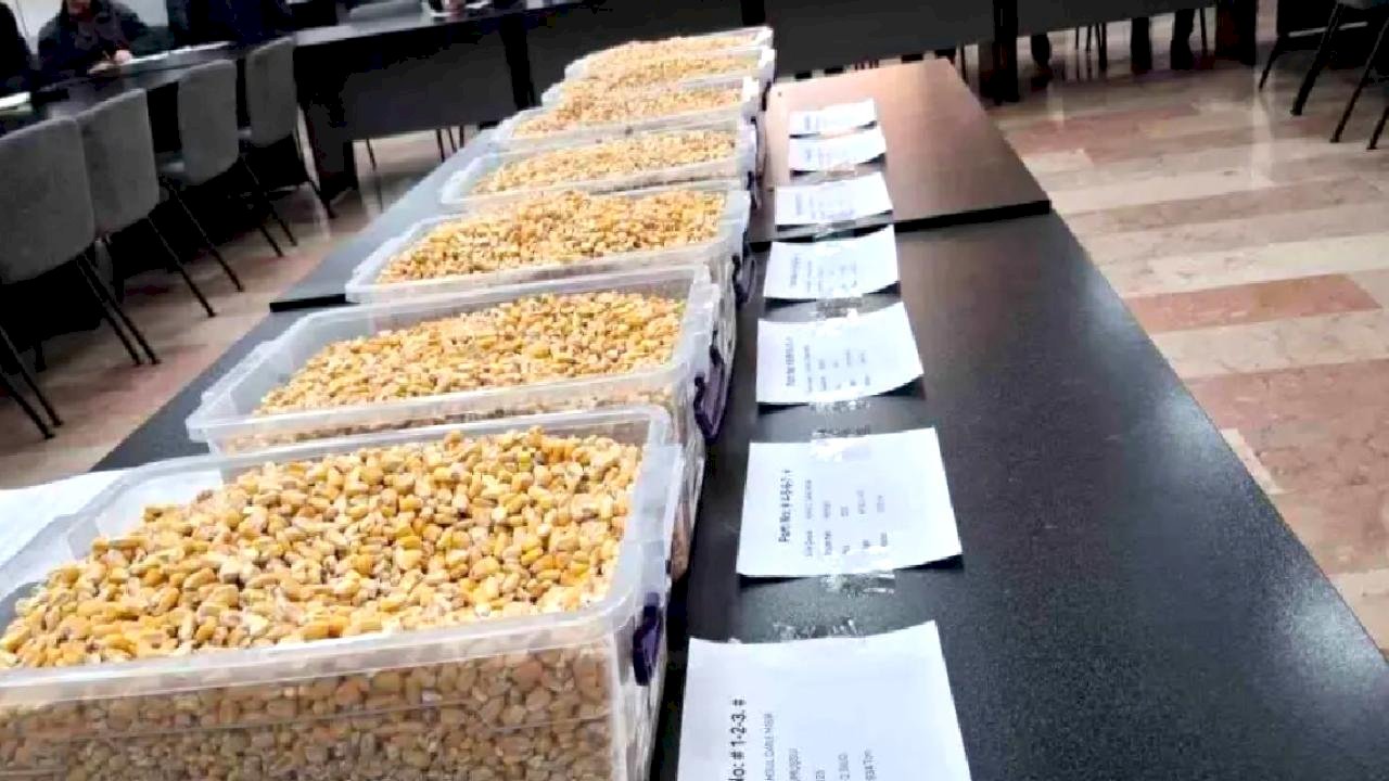 Ceylanpınar'dan Mısır Satışı lesi