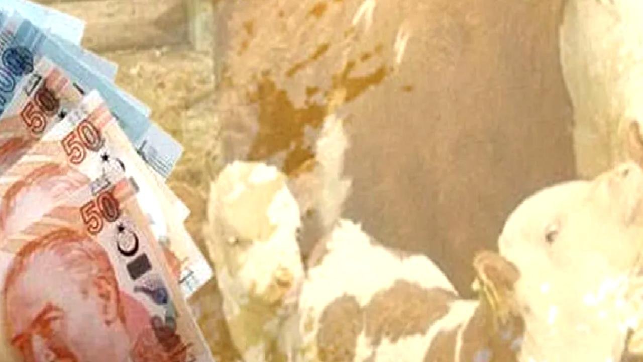 Çiftçilere 10,7 milyar TL tarımsal destek ödemesi yapılacak