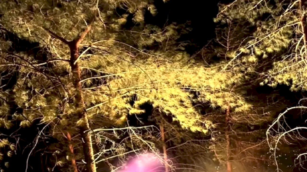 Dörtyol'da Orman Yangını Kontrol Altına Alındı