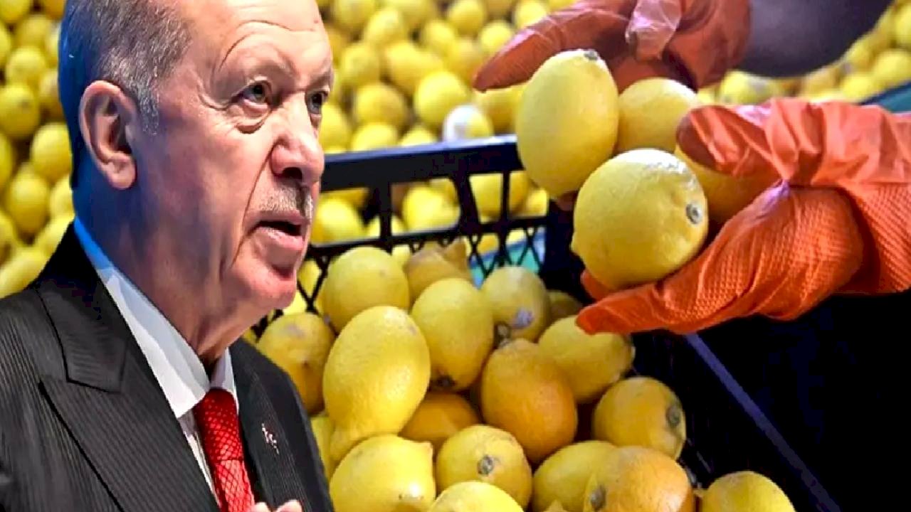 Fiyatı 100 lirayı aşmıştı, Erdoğan el attı! Limon ithalatında yeni karar