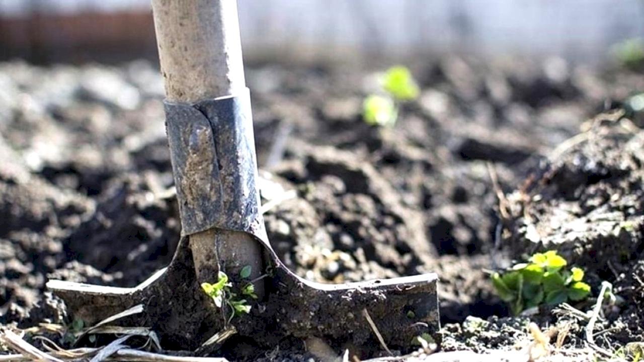 Hürmüz Boğazı krizi küresel gübre piyasasını sarstı: Fiyatlar hızla yükseliyor