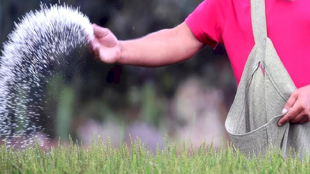 Hürmüz Boğazı'nın kapanması gübre krizini doğurdu