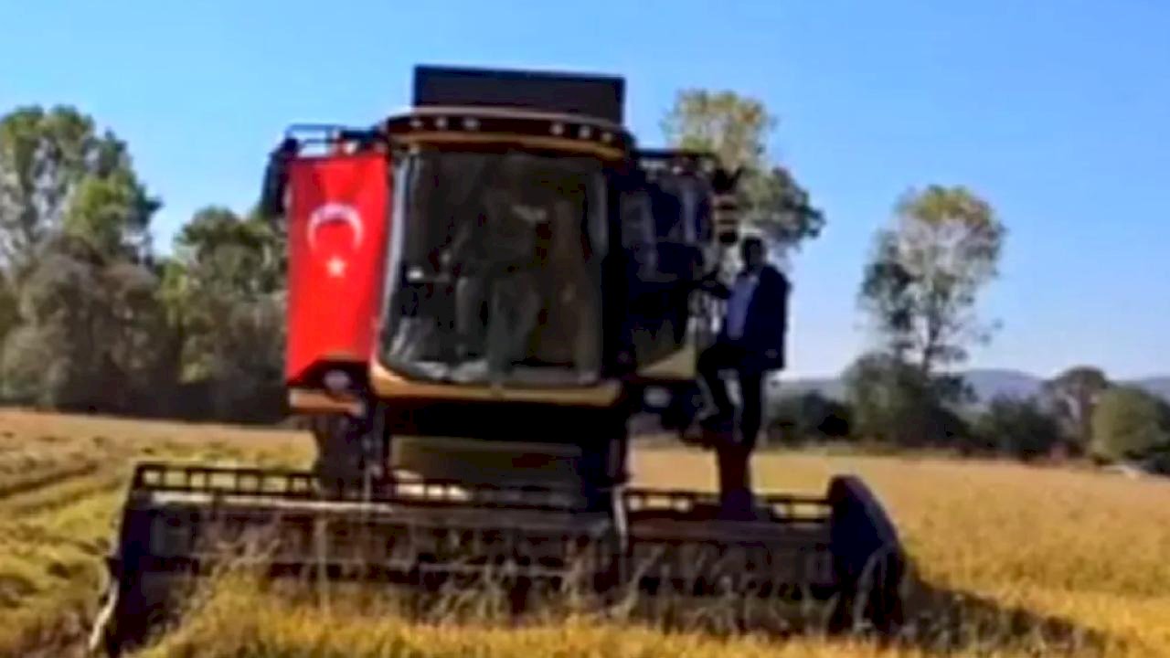 İstanbul'da yeni üretim sezonu için tohum ve fideler hazır