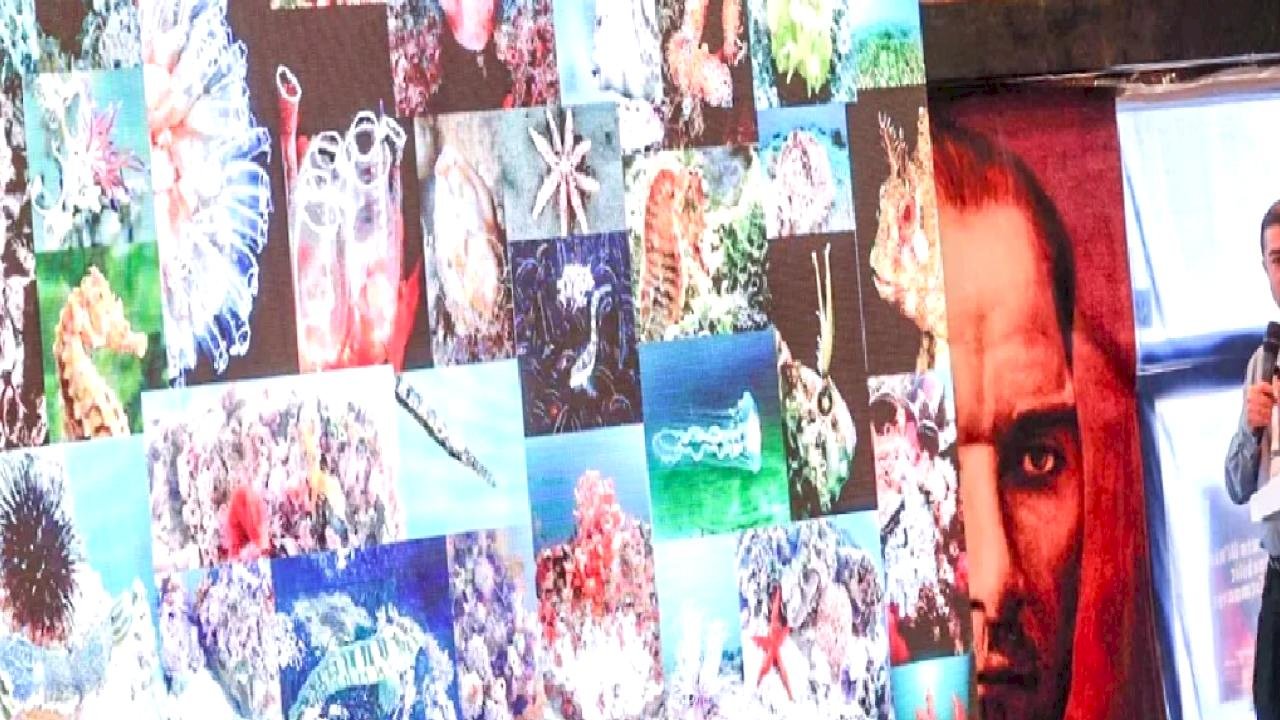 İzmir Körfezi'ne bilimsel bakış