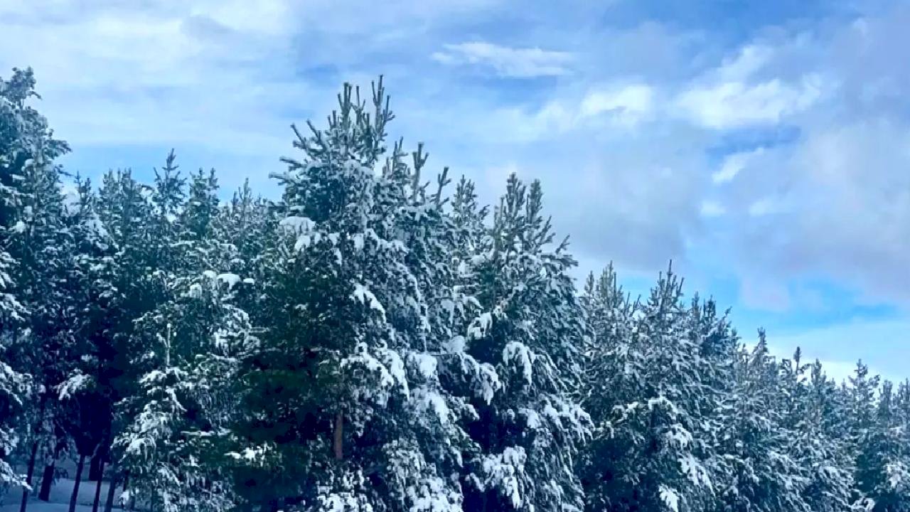 Kars ve Ardahan'da Karla Mücadele Devam Ediyor