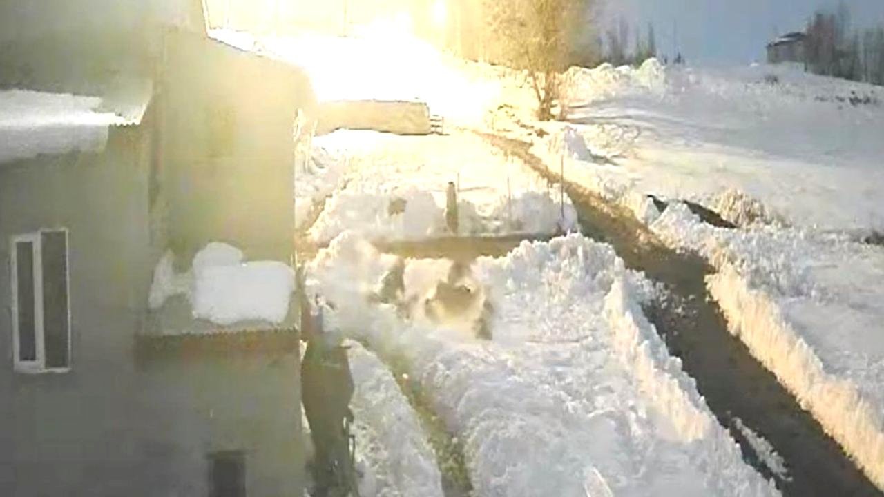 Kars'ta bir besici köpeklerine saldıran kurtları kürekle kovaladı