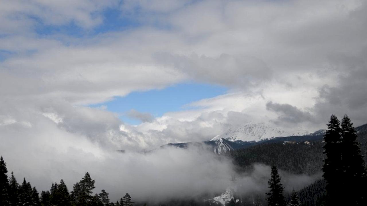 Kastamonu'nun yüksek kesimlerinde görüş mesafesi sis sebebiyle 50 metreye düştü