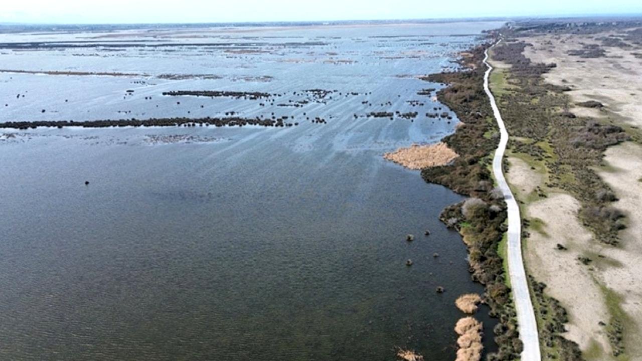 Kızılırmak Deltası yağışlarla yeniden canlandı