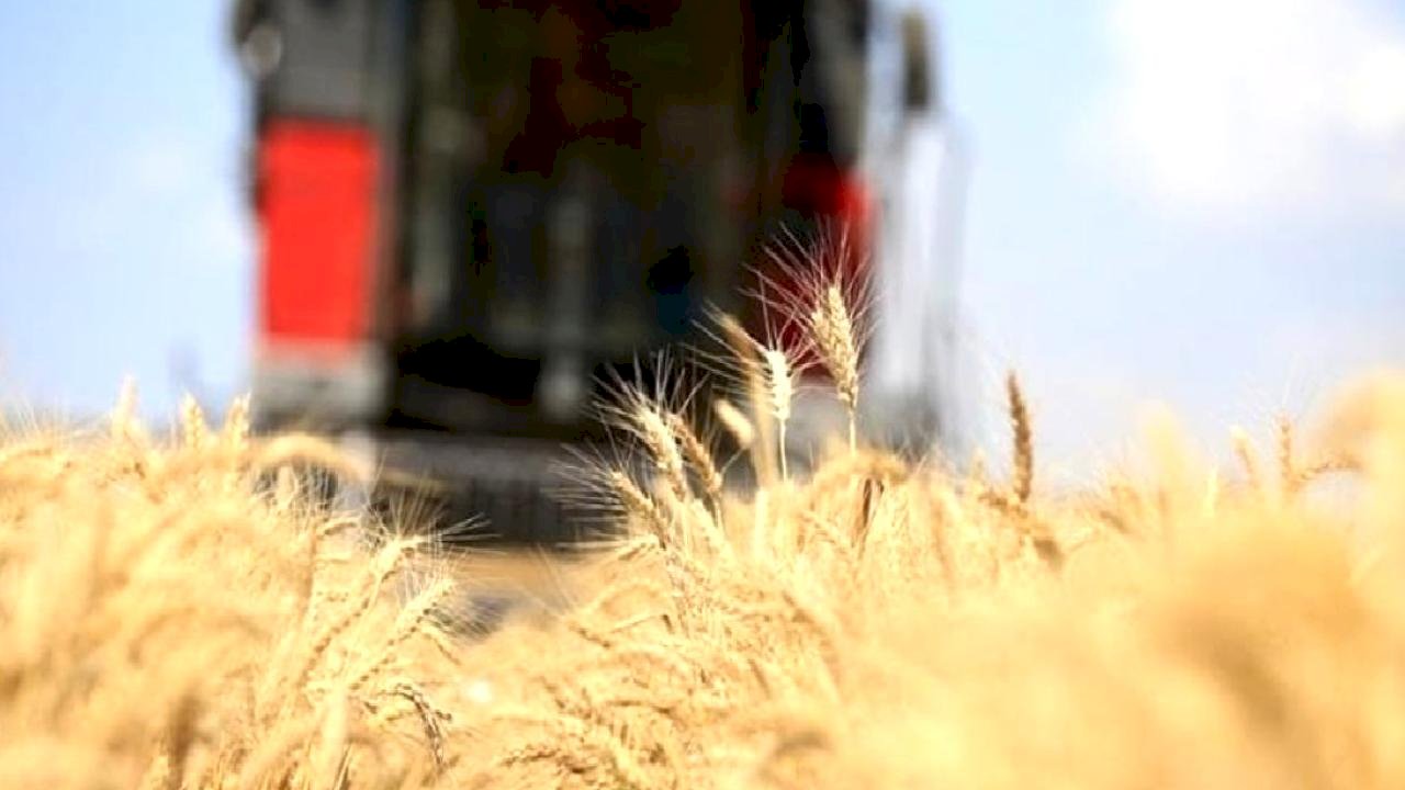 Orta Doğu gerilimi tarım ve gıda fiyatlarını etkiledi