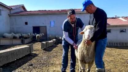 ABB'den kırsala veterinerlik hizmeti