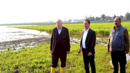 Adana'da Tarım Alanları Sel Altında