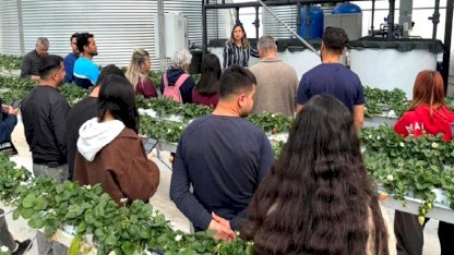 Antalya’da öğrenciler topraksız çilek üretimini yerinde öğrendi