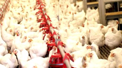 Bir dönemin ihracat şampiyonuydu: 40 yıllık marka icradan satışa çıkarıldı