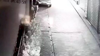 Bursa'da Hırsızlık: Süs Ağacı Çalındı