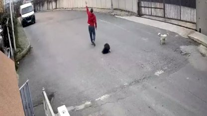 Cip Köpeğin Üzerinden Geçti