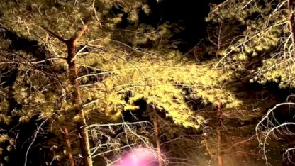 Dörtyol'da Orman Yangını Kontrol Altına Alındı