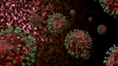 Gana'da M Çiçeği Salgını: 8 Ölü, 1000 Vaka