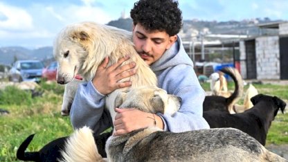 İsrail'in saldırılarında yerinden edilen hayvanlara Lübnanlı genç sahip çıktı