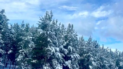 Kars ve Ardahan'da Karla Mücadele Devam Ediyor