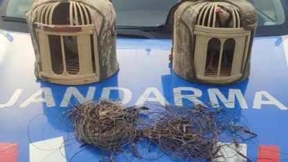 Kırşehir'de Tuzakla Keklik Avına Operasyon