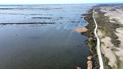 Kızılırmak Deltası yağışlarla yeniden canlandı
