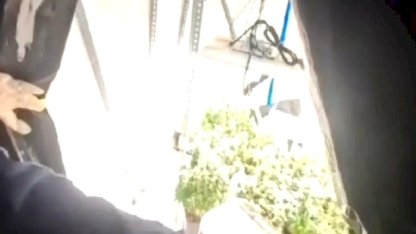 Kocaeli'de Uyuşturucu Operasyonu: 36 Gözaltı