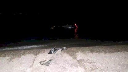 Otomobil İznik Gölü'ne Uçtu: Sürücü Yaralı