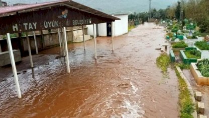 Reyhanlı'da Sel Tehlikesi: Çoban Kuzuları Kurtardı