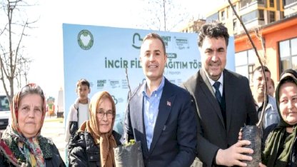 Üreticilere incir fidanı desteği