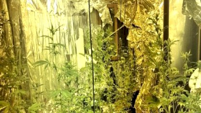 Yalova’da aranan hükümlü uyuşturucu üretirken yakalandı