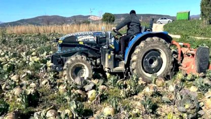 Yenişehir'de Lahana Çürüyor
