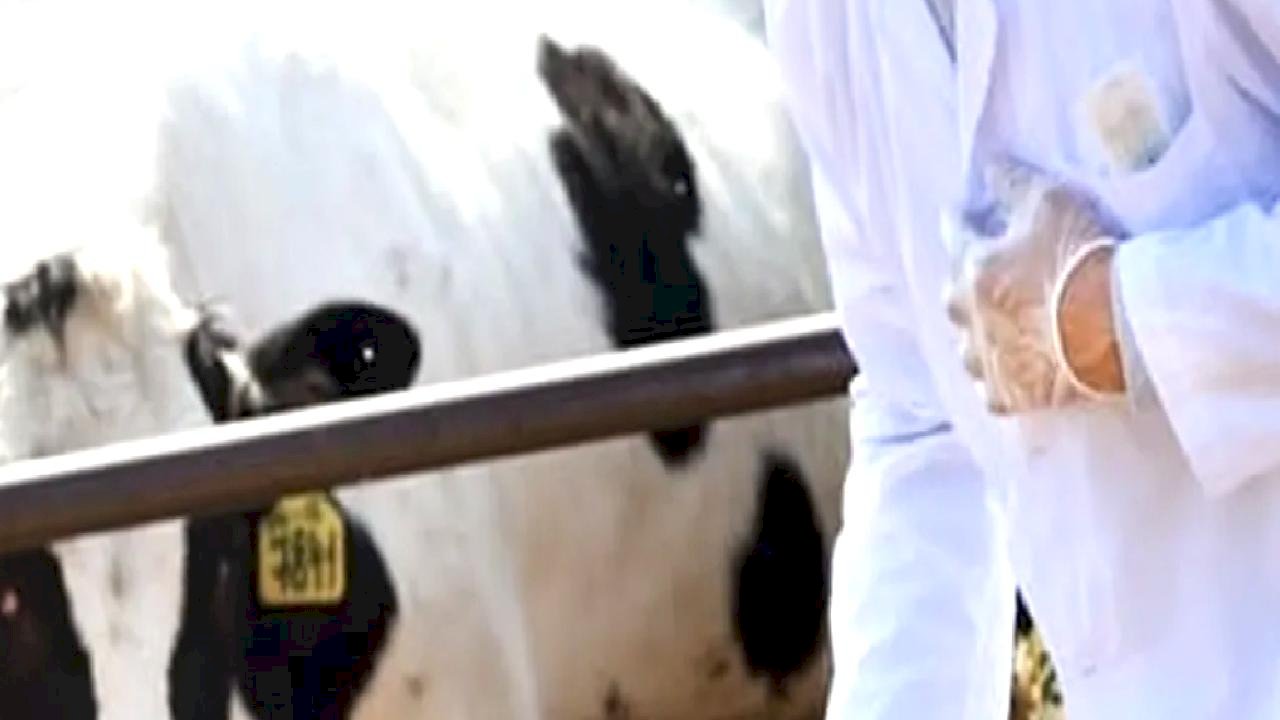 Tarımsal en yüksek girdi veteriner harcamaları zirvedeki yerini koruyor