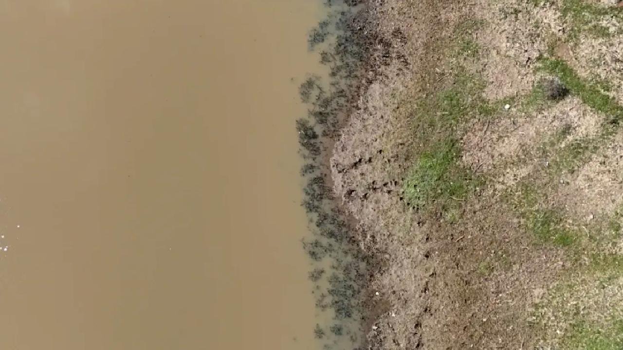 Taşlık Göleti'nde Su Seviyesi Arttı