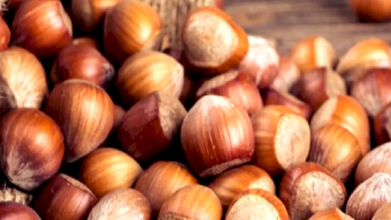TMO'dan 'kabuklu fındık' açıklaması: Satışımız ve hazırlığımız bulunmamaktadır